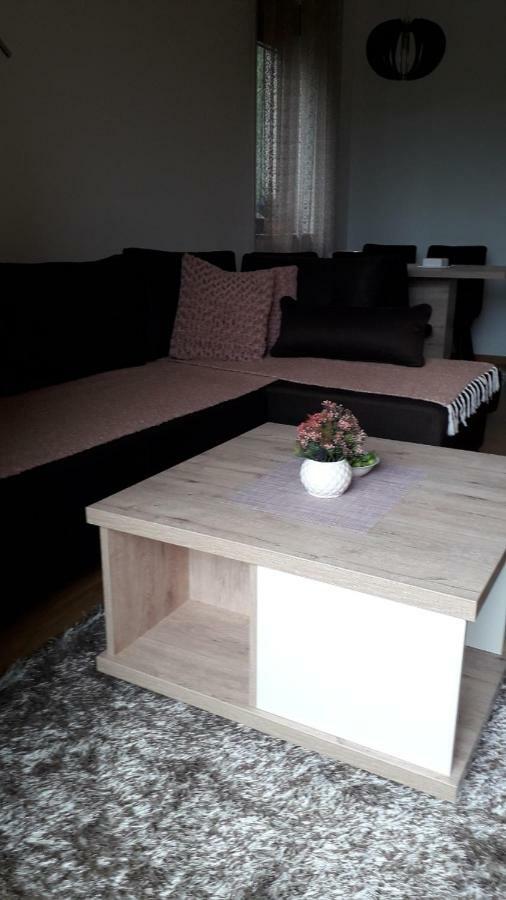 Apartman Nana Svetogorska 19 ,Stan 17 Zlatibor Luaran gambar