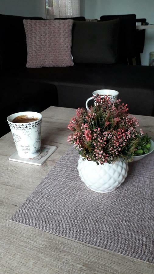 Apartman Nana Svetogorska 19 ,Stan 17 Zlatibor Luaran gambar