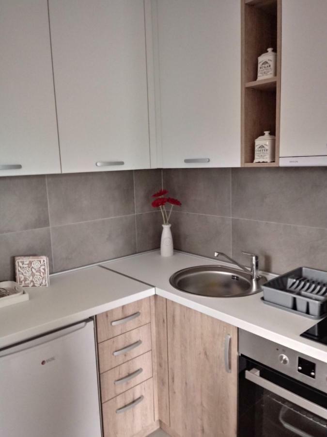 Apartman Nana Svetogorska 19 ,Stan 17 Zlatibor Luaran gambar