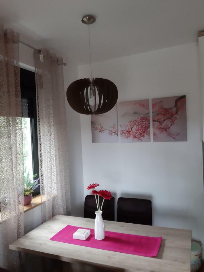 Apartman Nana Svetogorska 19 ,Stan 17 Zlatibor Luaran gambar