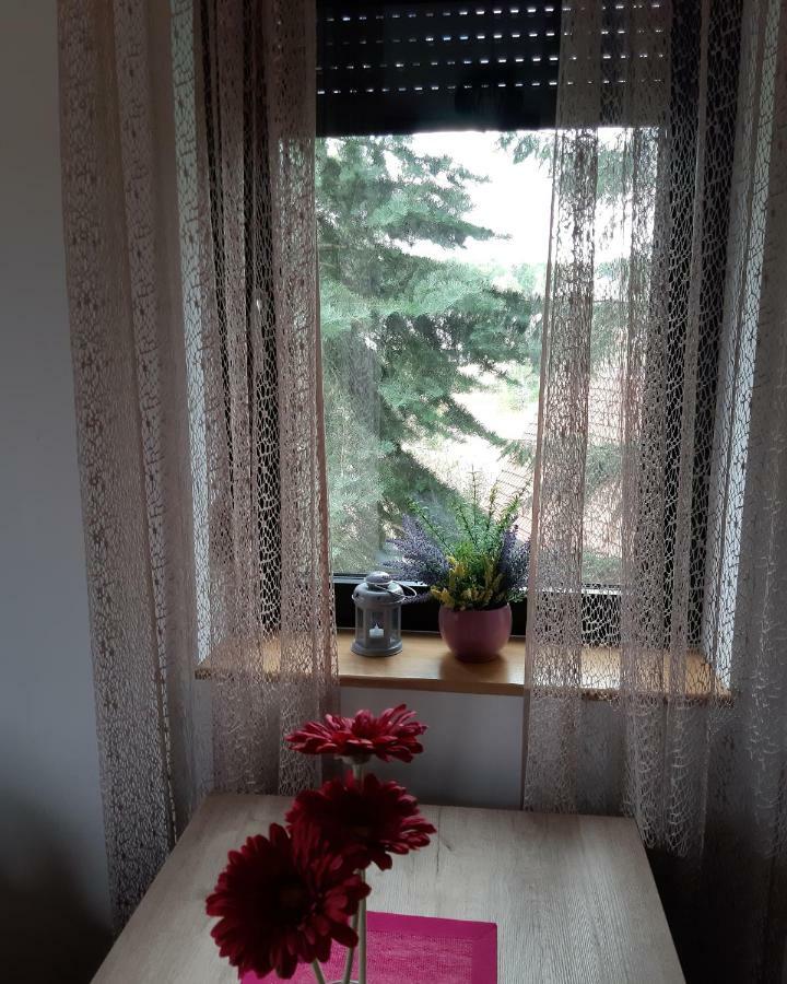 Apartman Nana Svetogorska 19 ,Stan 17 Zlatibor Luaran gambar