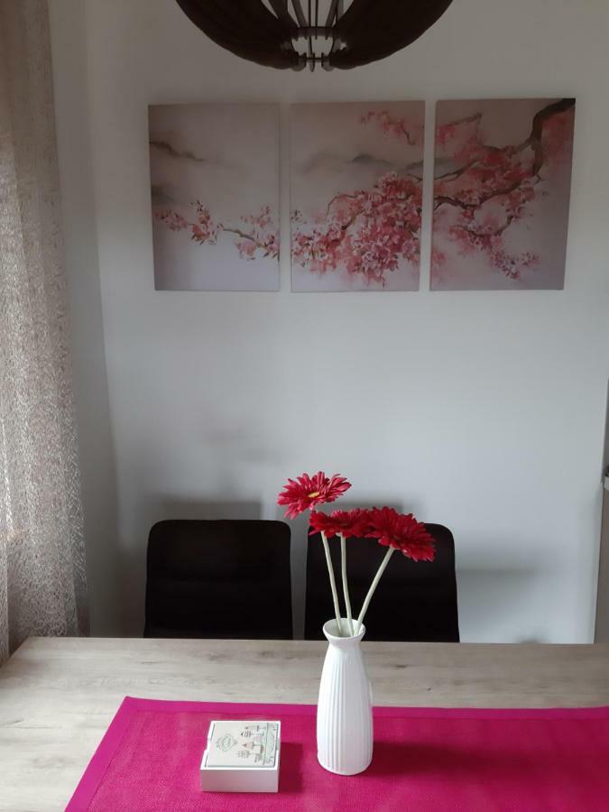 Apartman Nana Svetogorska 19 ,Stan 17 Zlatibor Luaran gambar